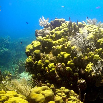 249518_413427882044243_950633876_n