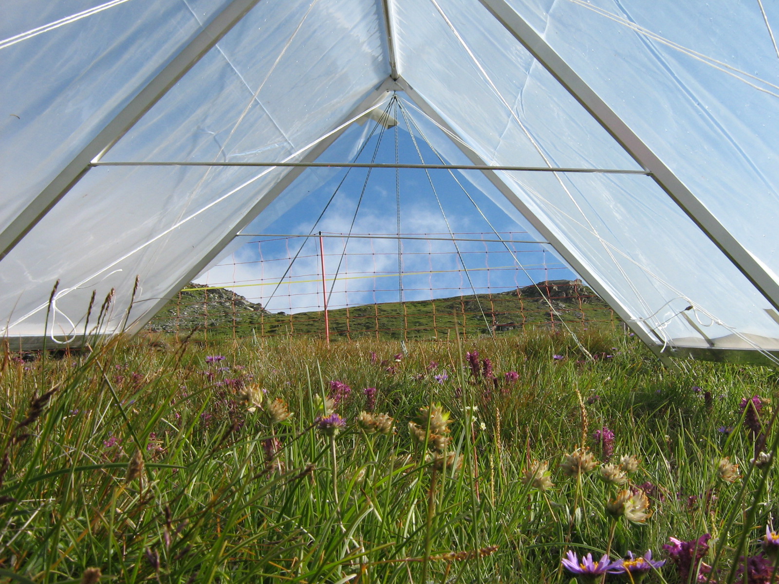 IMEXCLIME_Furka-07-2008_1
