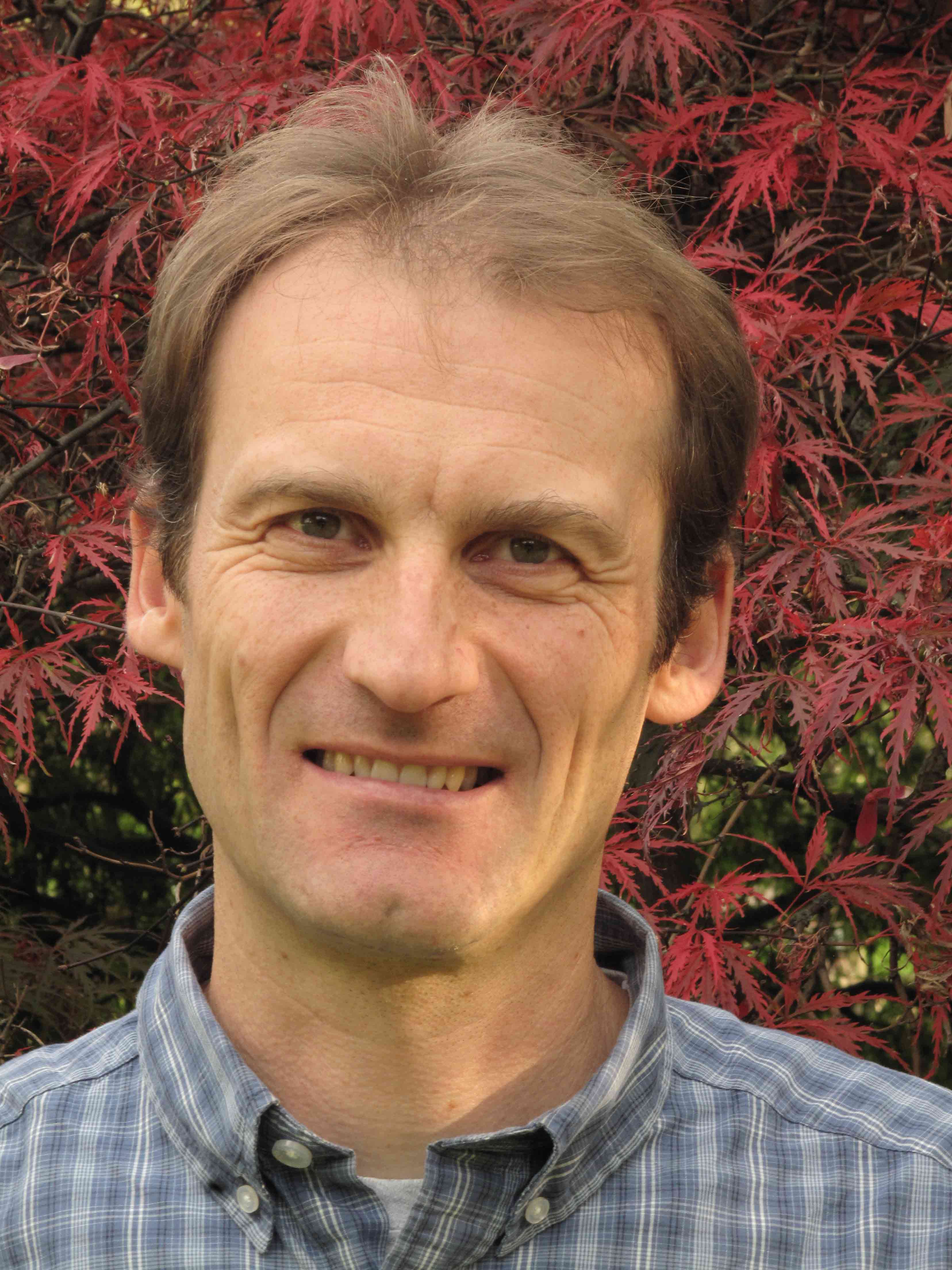 Scherer-Lorenzen_web